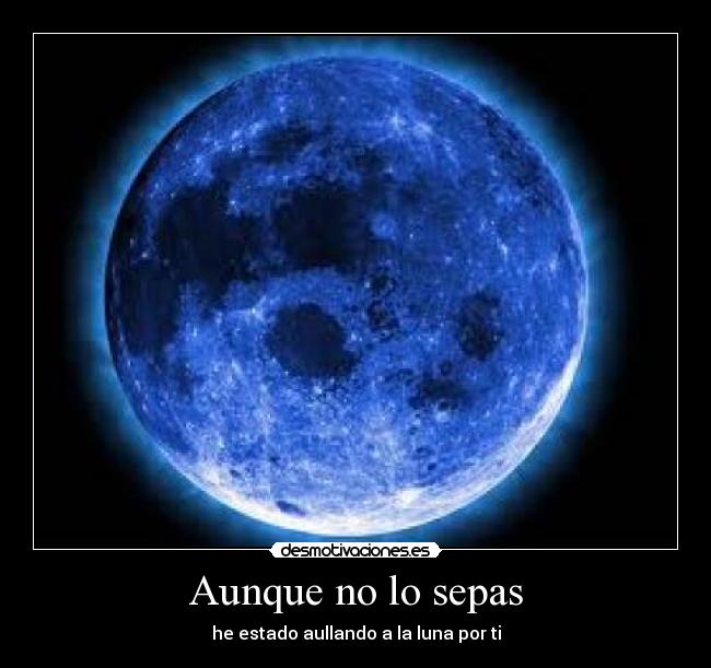 Aunque no lo sepas - he estado aullando a la luna por ti