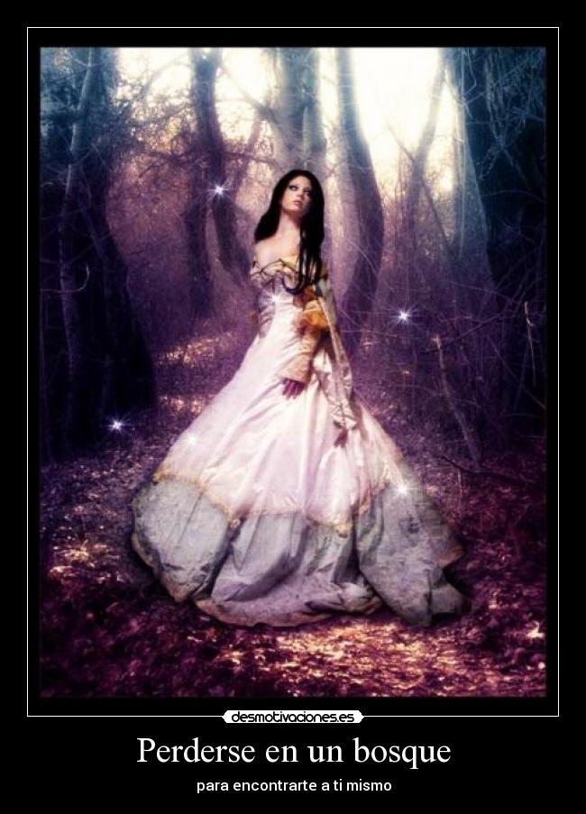 Perderse en un bosque - 