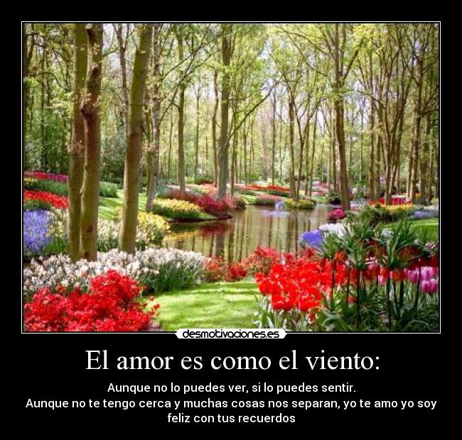 El amor es como el viento: - Aunque no lo puedes ver, si lo puedes sentir.
Aunque no te tengo cerca y muchas cosas nos separan, yo te amo yo soy
feliz con tus recuerdos