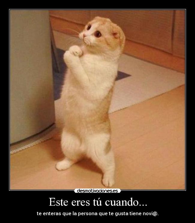 Este eres tú cuando... - 