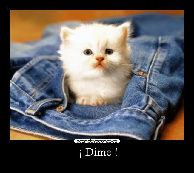 ¡ Dime ! -