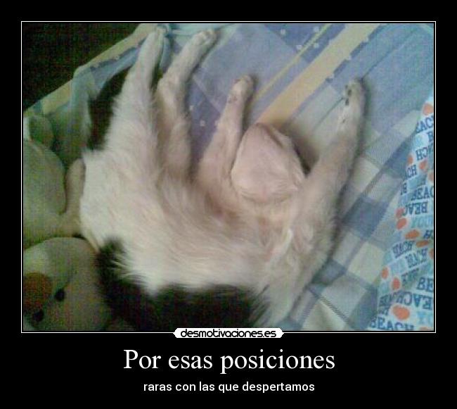 Por esas posiciones -