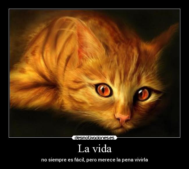 carteles vida 32eewq desmotivaciones