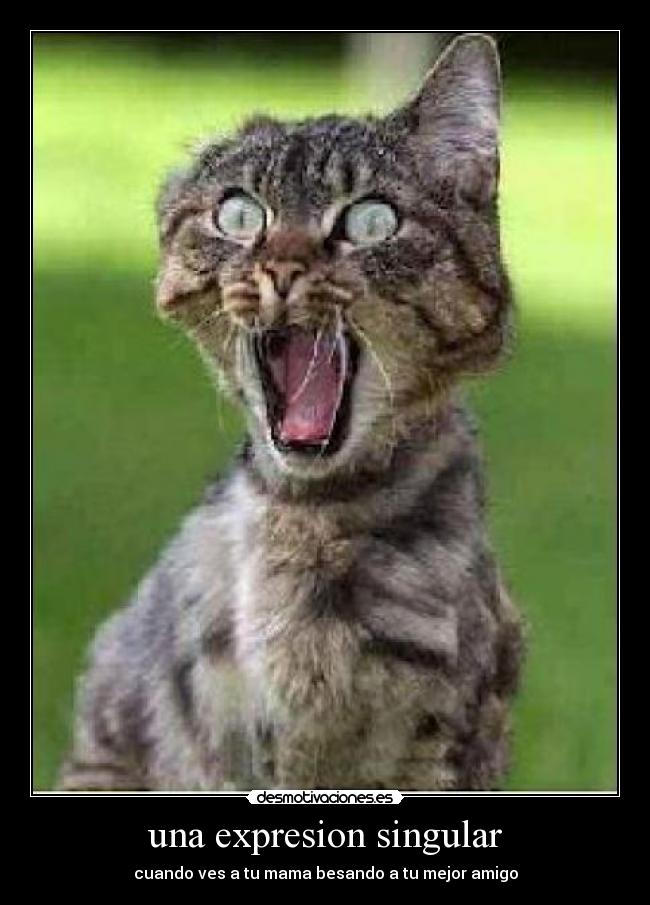 carteles jumm desmotivaciones