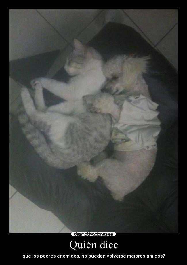 Quién dice - que los peores enemigos, no pueden volverse mejores amigos?