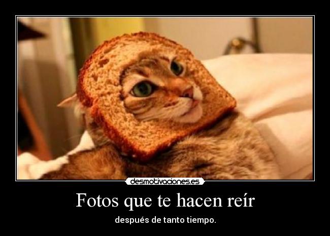 Fotos que te hacen reír - después de tanto tiempo.