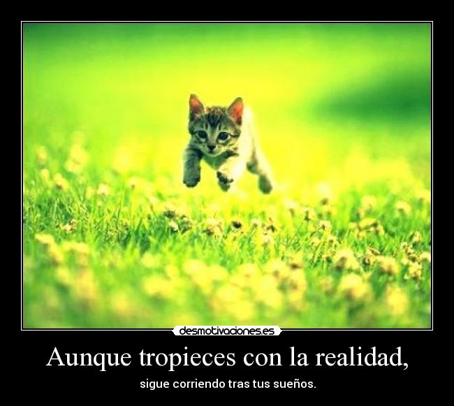 Aunque tropieces con la realidad, - 