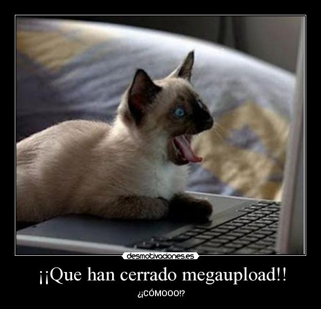 ¡¡Que han cerrado megaupload!! - ¿¡CÓMOOO!?
