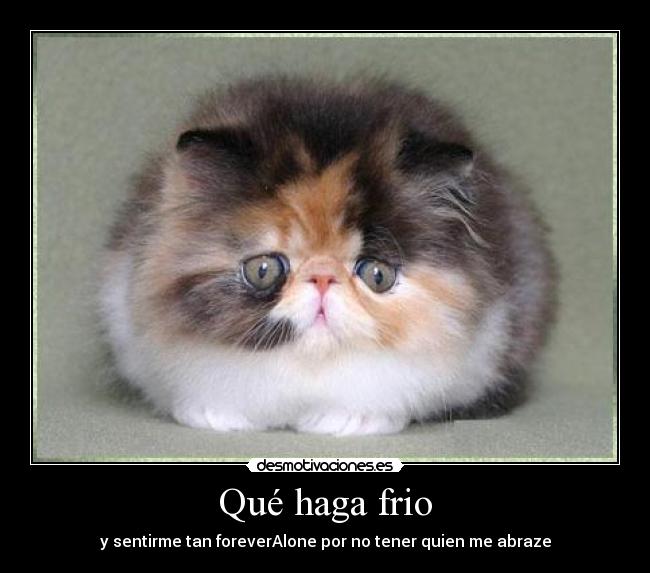 Qué haga frio - 