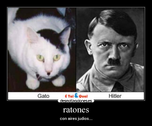 ratones - con aires judios....