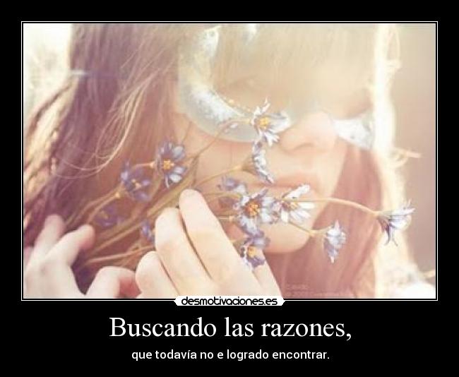 Buscando las razones, - 
