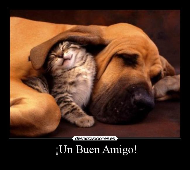 ¡Un Buen Amigo! - 