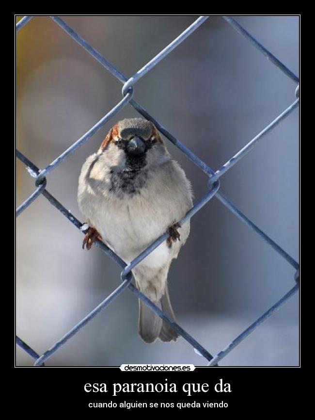 esa paranoia que da -