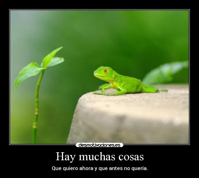 Hay muchas cosas - Que quiero ahora y que antes no quería.