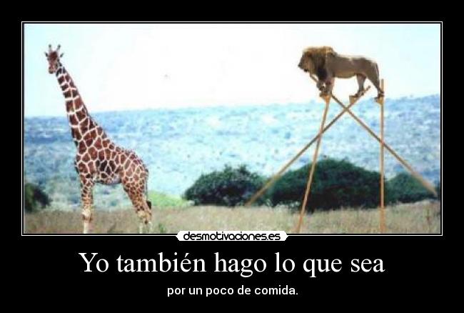 Yo también hago lo que sea - 