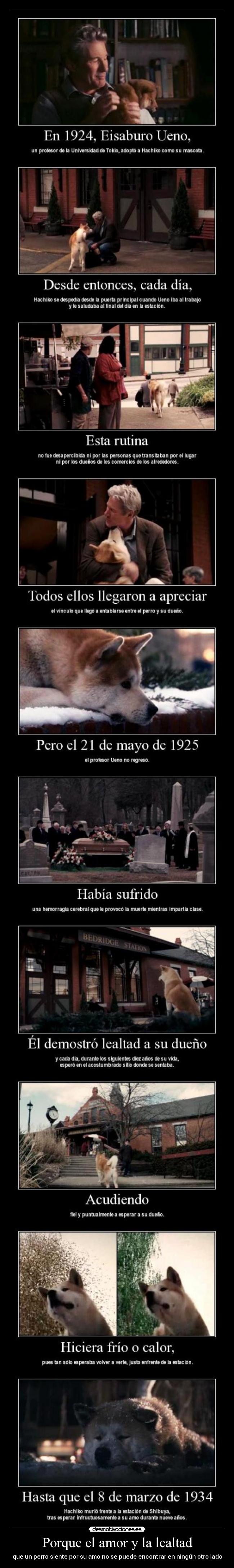 carteles amor siempre lado hachiko desmotivaciones