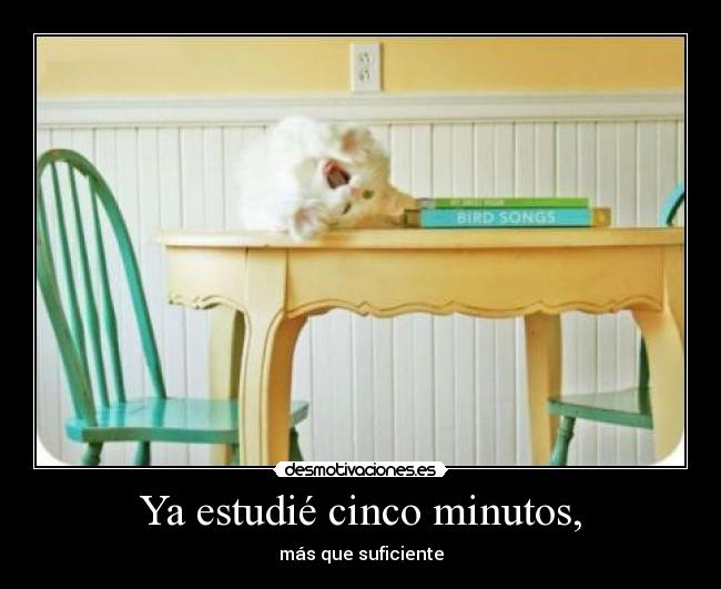 Ya estudié cinco minutos, - 