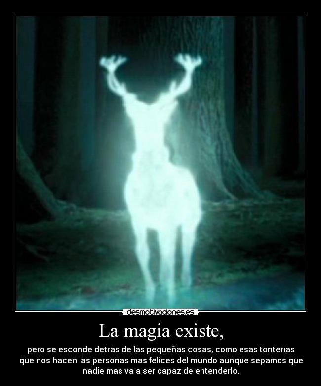 La magia existe, - 