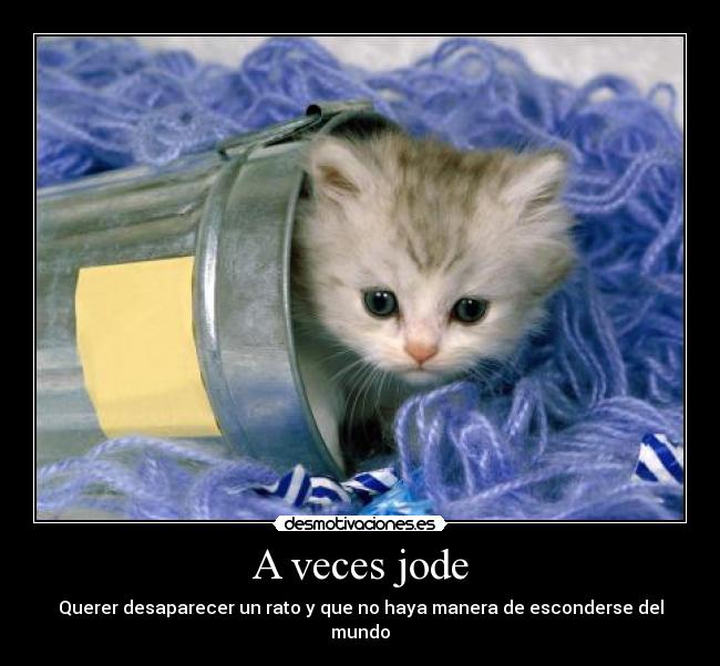 A veces jode - Querer desaparecer un rato y que no haya manera de esconderse del mundo