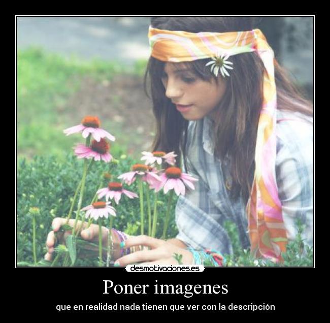 Poner imagenes - 