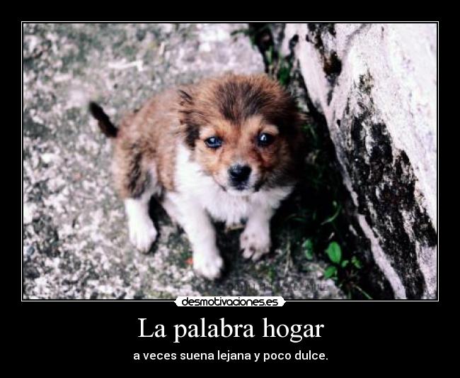 La palabra hogar - a veces suena lejana y poco dulce.