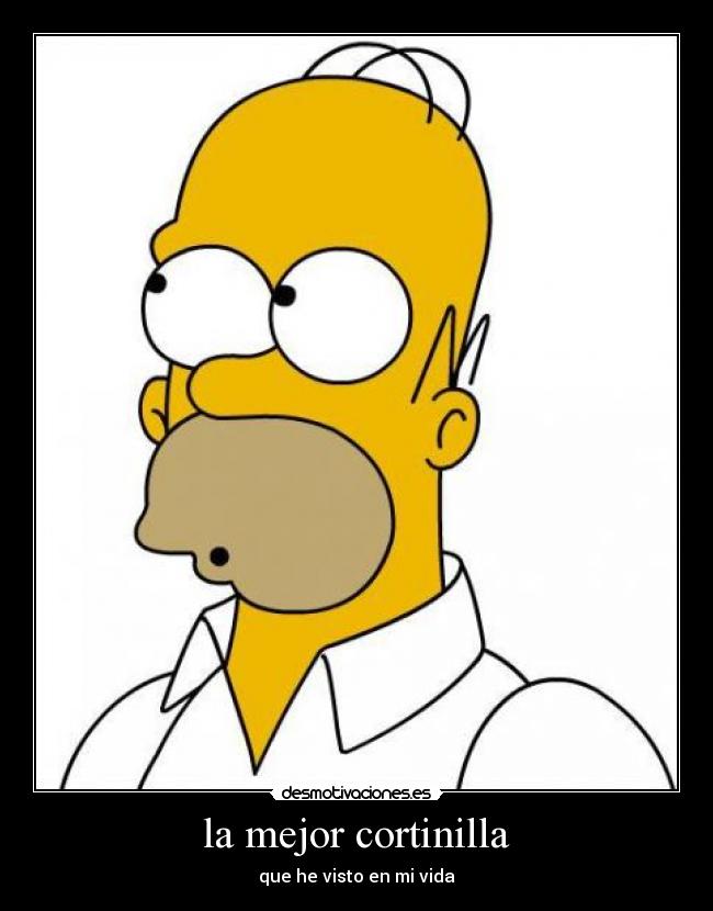 la mejor cortinilla -