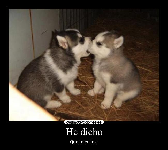 He dicho - Que te calles!!