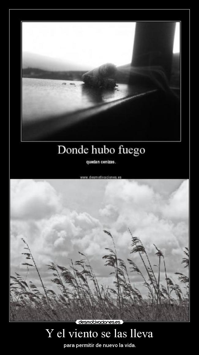 Y el viento se las lleva - para permitir de nuevo la vida.