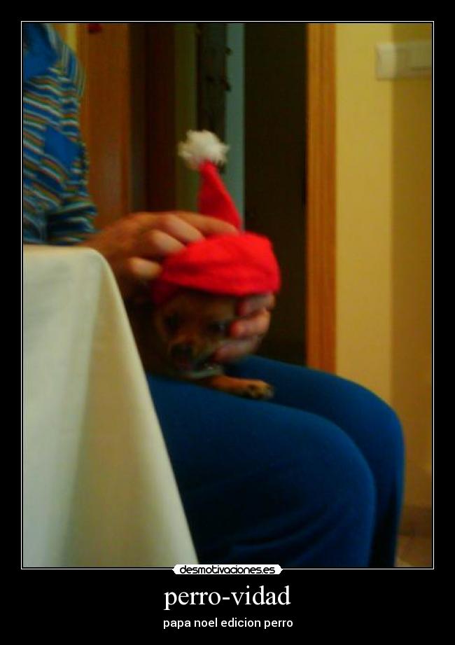 perro-vidad - papa noel edicion perro