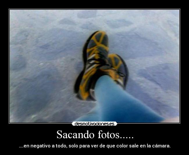 Sacando fotos..... - 