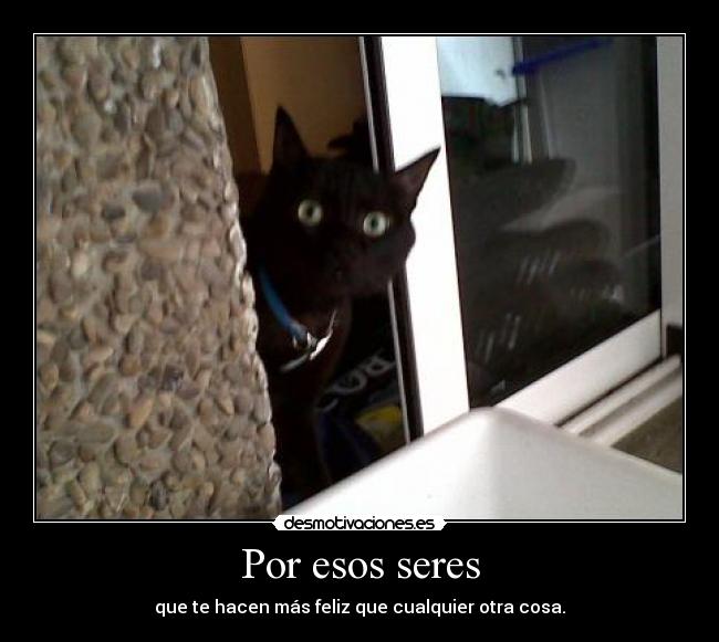 Por esos seres - 