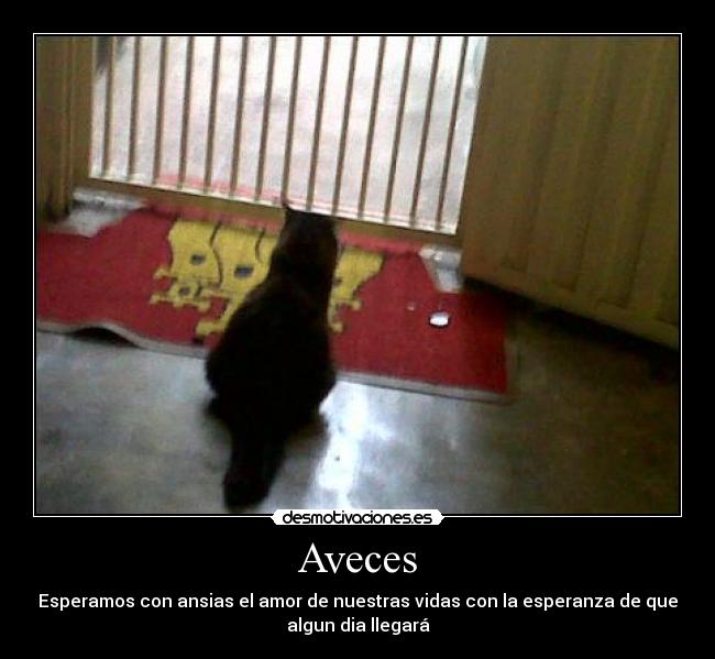 Aveces -