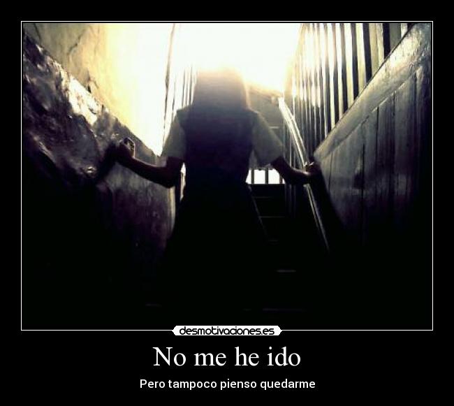 No me he ido - Pero tampoco pienso quedarme