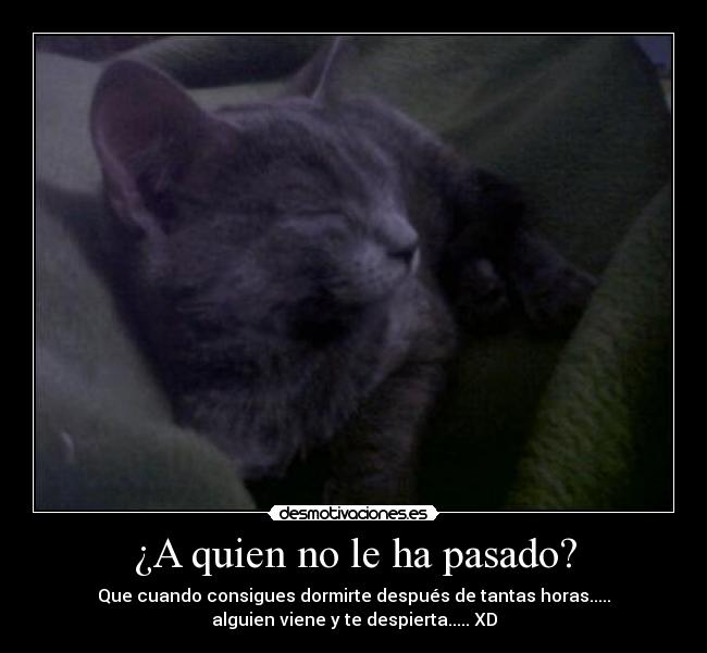 carteles pasado quien pasado desmotivaciones