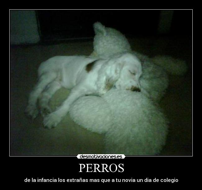 PERROS - de la infancia los extrañas mas que a tu novia un dia de colegio