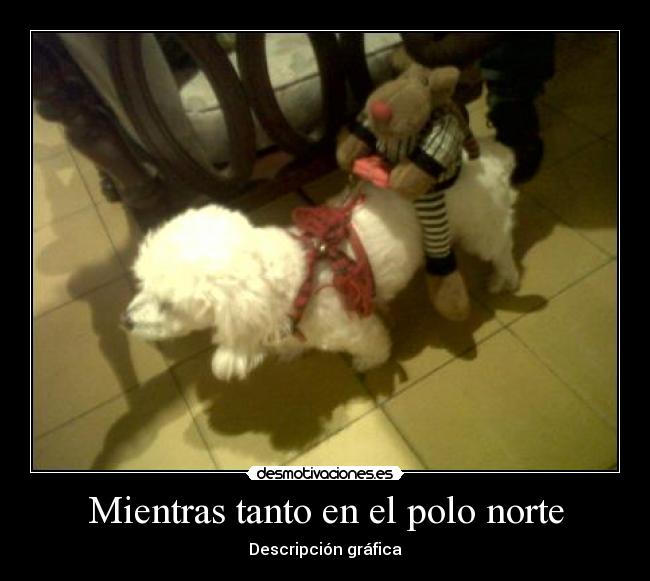 Mientras tanto en el polo norte - Descripción gráfica