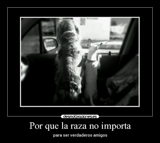 carteles los amigios verdaderos desmotivaciones