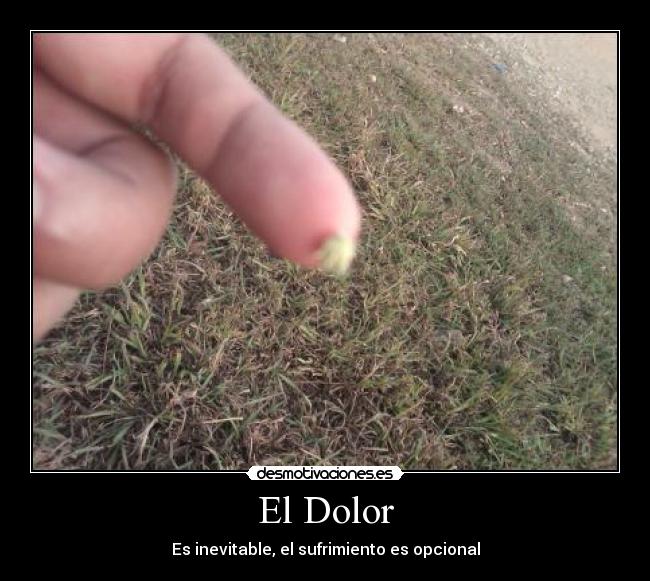 El Dolor -