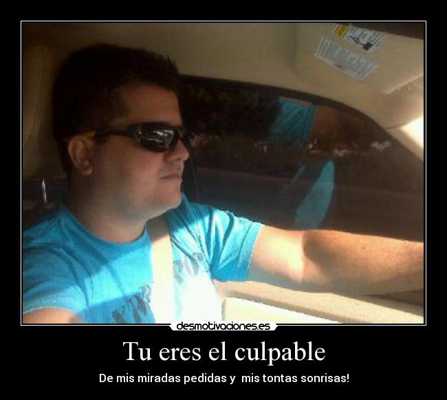 Tu eres el culpable - 