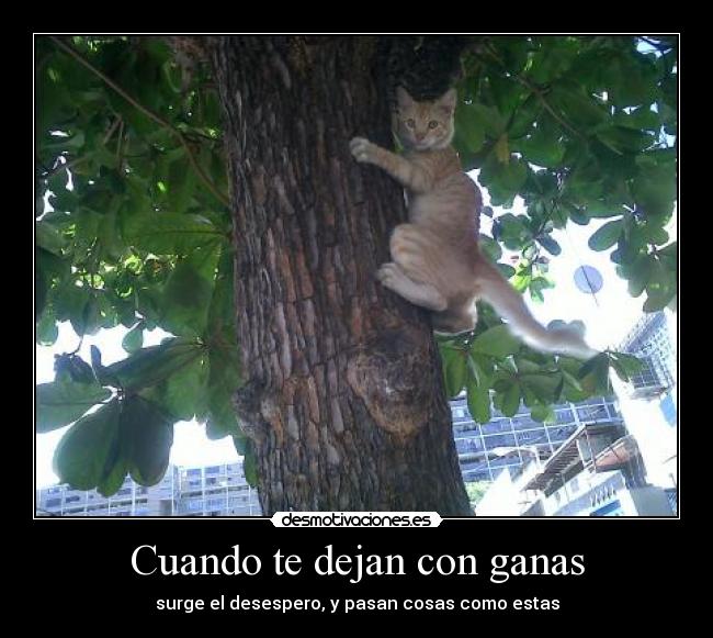 Cuando te dejan con ganas - surge el desespero, y pasan cosas como estas