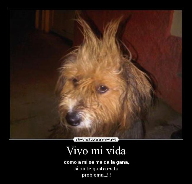 Vivo mi vida - como a mi se me da la gana,
si no te gusta es tu
problema...!!!