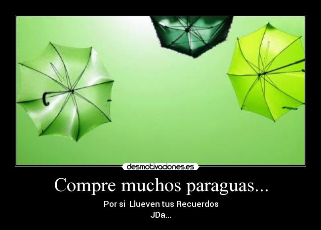 Compre muchos paraguas... - 
