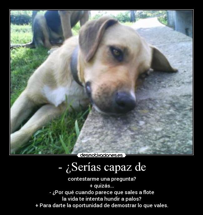 - ¿Serías capaz de - contestarme una pregunta?
+ quizás...
- ¿Por qué cuando parece que sales a flote
la vida te intenta hundir a palos?
+ Para darte la oportunidad de demostrar lo que vales.