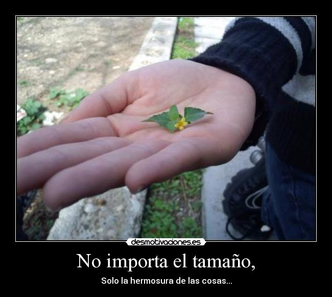 No importa el tamaño, -
