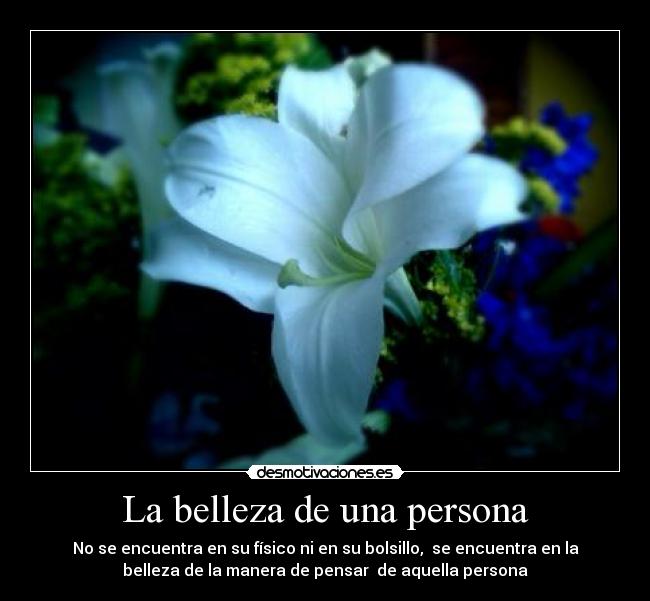 La belleza de una persona - No se encuentra en su físico ni en su bolsillo, se encuentra en la
belleza de la manera de pensar de aquella persona