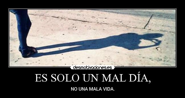 carteles vive feliz desmotivaciones