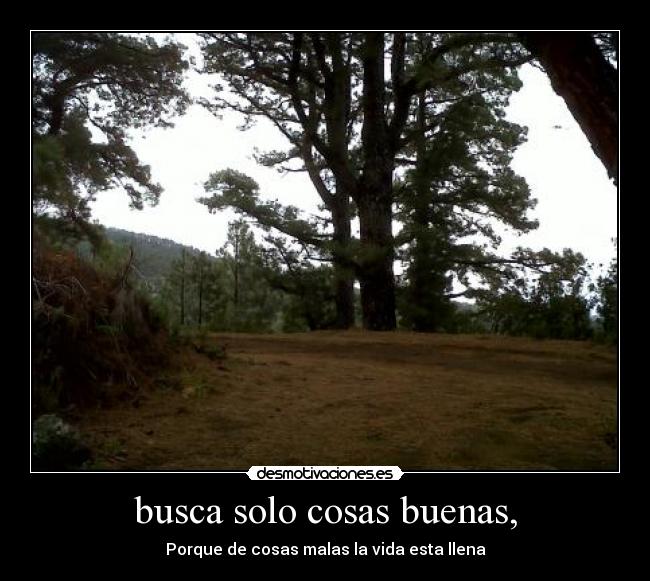 busca solo cosas buenas, - Porque de cosas malas la vida esta llena