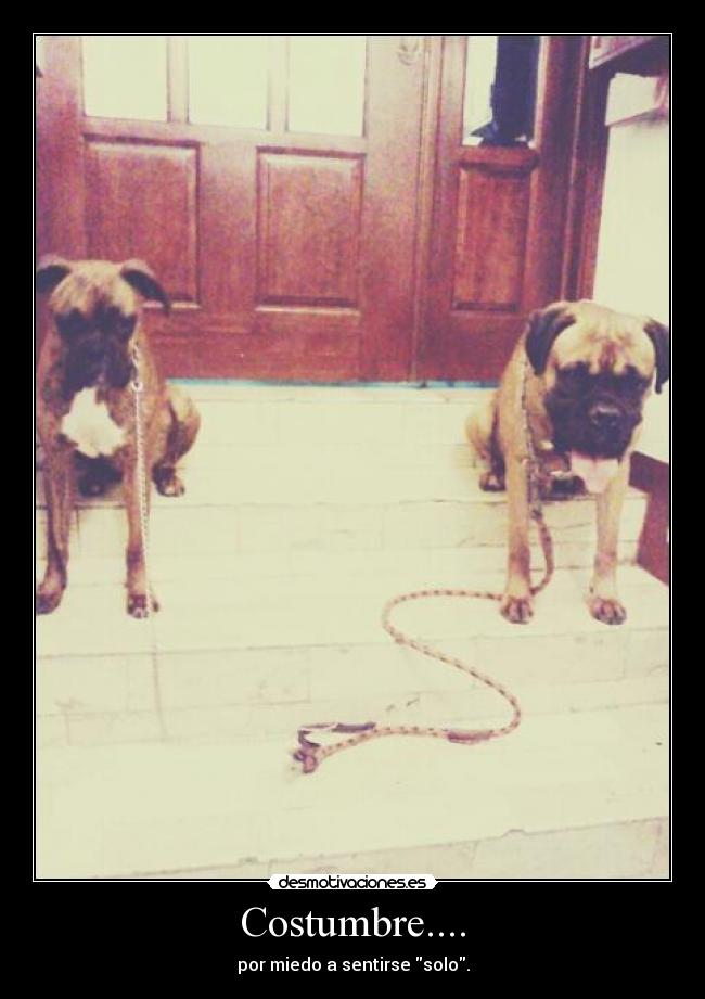 Costumbre.... -