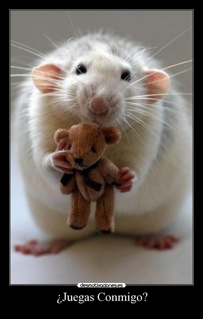 ¿Juegas Conmigo? -