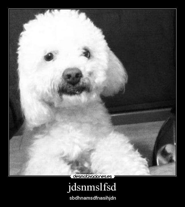 jdsnmslfsd - sbdhnamsdfnasihjdn